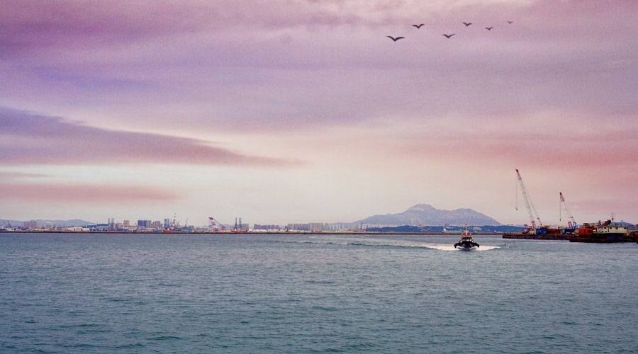 海关商务部发布调整《进口废物管理目录》的公告