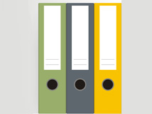 识别真假提单案